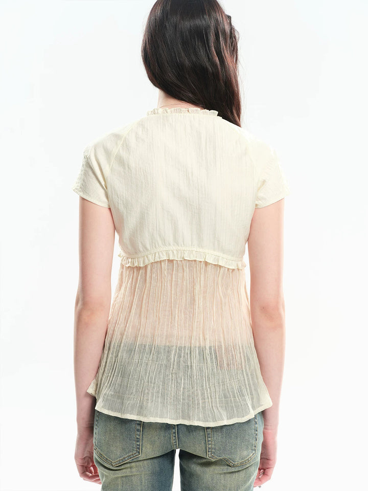Contrast Pleated Sheer Blouse